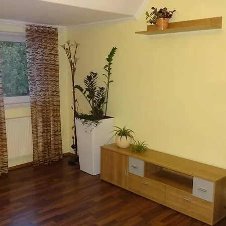 Holiday Apartment * Freudenstadt